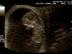 Baby2-10w4d-60508-1_72x54_c